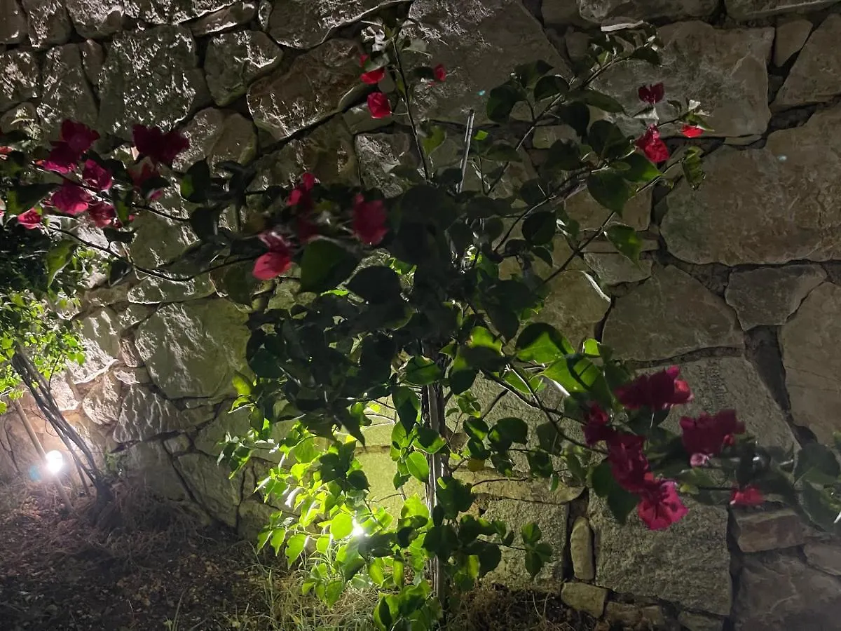 Green Coast 136 Dhermi Holiday home